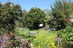Sea of Galilee Guest House - Image 10