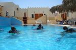 Red Sea Dive Center - Image 5