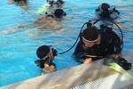 Red Sea Dive Center - Image 7