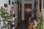 Elicrim - Image 7