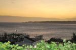 The Surf Pad - Image 10