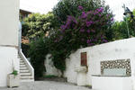 Residenza Le Rose