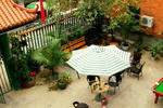 ManyTrees International Youth Hostel - Image 2