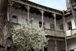 Photos of SkadaVeli