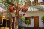 Star of Dahab - Image 2