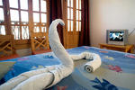 Star of Dahab - Image 8