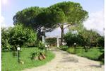 Il Bracco Bed and Breakfast Partinico
