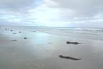 Anglesea Backpackers