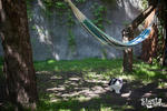 Siesta Hostel - Image 6
