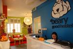 A Beary Good Hostel - Image 2