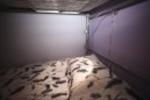 Photos of Hostels By Nordic