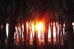 Mali Robit Hotel and Campsite - Image 2