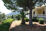 Photos of Dimitra Studios
