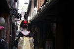 Photos of TANAKA-ya