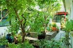Peking Yard Hostel - Image 7
