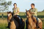 El Galope Horse Farm - Image 3