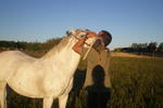 El Galope Horse Farm - Image 6