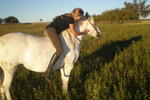 El Galope Horse Farm - Image 8