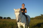 El Galope Horse Farm - Image 9