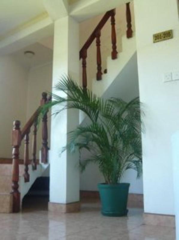 Palm Garden Guest House  2