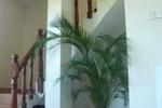Palm Garden Guest House - Image 3