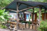 Taitung Sea Art Hostel- Mother Land - Image 4