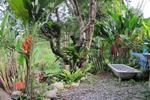 Taitung Sea Art Hostel- Mother Land - Image 6