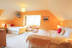 2 Mile Lodge Kenmare - Image 4