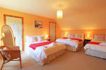 2 Mile Lodge Kenmare - Image 5