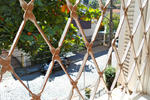 3Dogs Hostel - Image 10