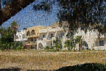 Olympia Mare - Image 3