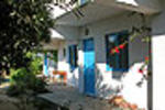 Olympia Mare - Image 6