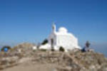 Olympia Mare - Image 10