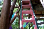 A Beautiful Day (Nani La 'Ao) - Image 5