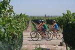 Mendoza Backpackers - Image 2