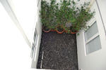 Sahabat Guesthouse - Image 9