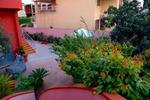 Ciro's House - Image 8