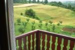 Photos of Zafran Guesthouse