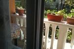Rooms and Apartment Cvita - Image 5