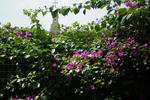 Bed and Breakfast Welcome - Image 3