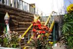 Lhasa Sonam Youth Hostel - Image 4