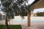 Gentarrubia - Image 3