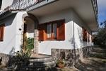 B&B Sunflower - Image 4