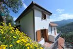 B&B Sunflower - Image 5