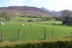 Kingdom View - Image 2