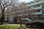 Buzz Hostel - Split Beach - Image 5