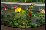 Hanwood Youth Hostel - Image 10