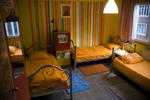 Stray Cat - Image 5