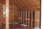 Wolf Den Hostel and Nature Retreat - Image 3