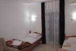 Photos of Pansion Glory
